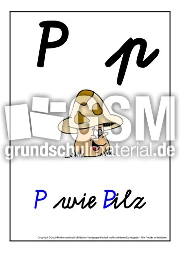 P-Buchstabenbilder-SAS-16.pdf